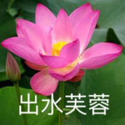 亿酷娱乐棋牌app下载手机版